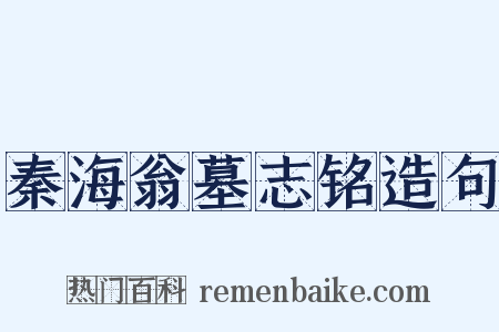 秦海翁墓志铭造句是什么意思的图片